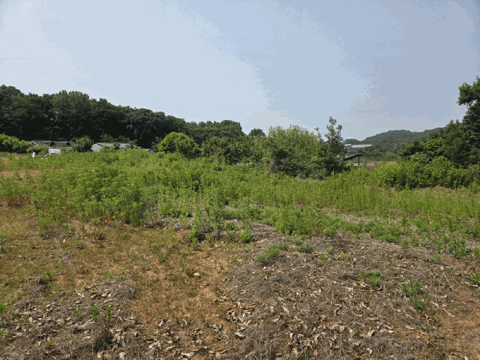 2025타경63117 사진