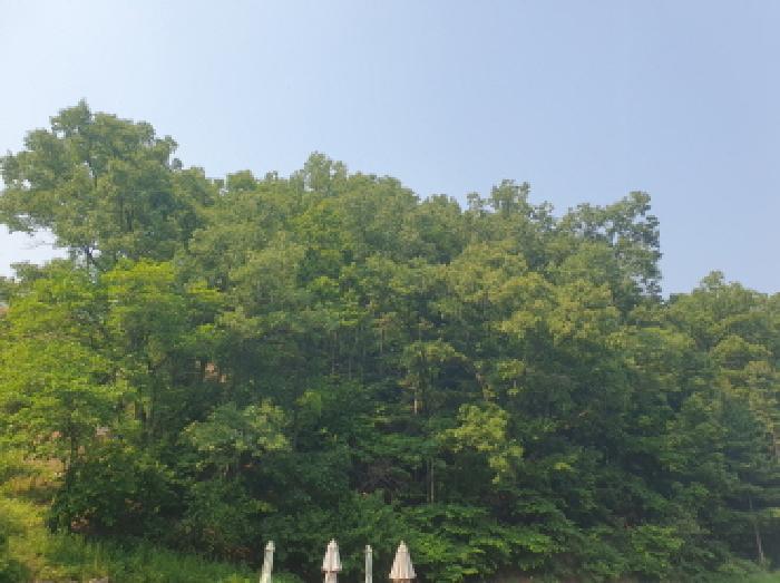 2025타경71682 사진