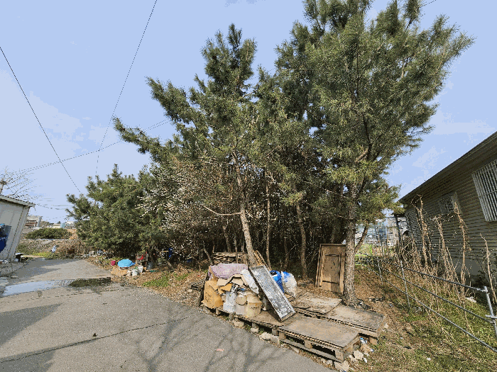 2025타경72003 사진