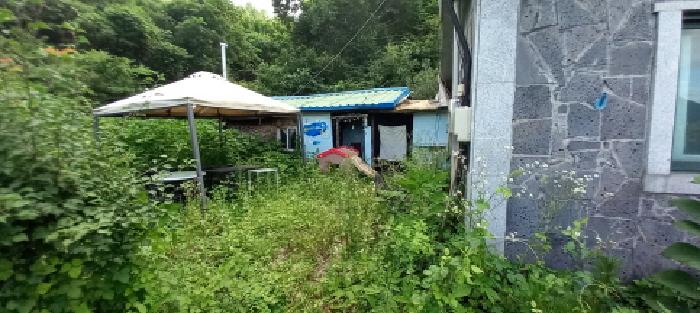 2025타경72454 사진