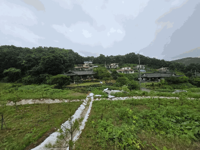 2025타경72524 사진