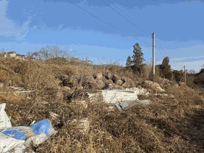 2025타경72525 사진