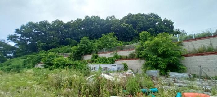 2025타경72641 사진