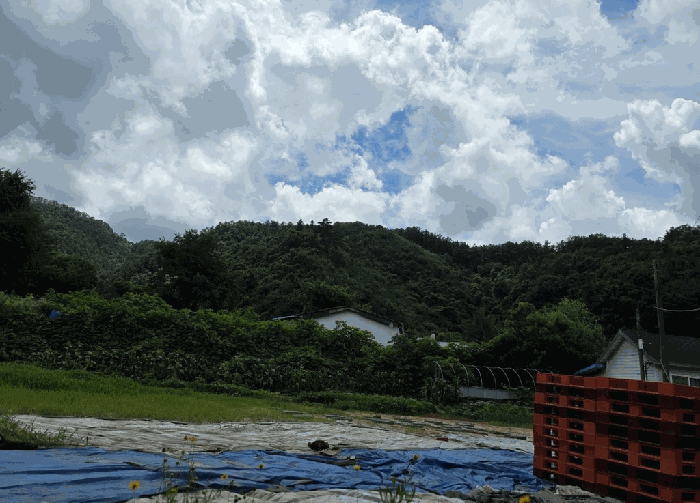 2025타경72704 사진