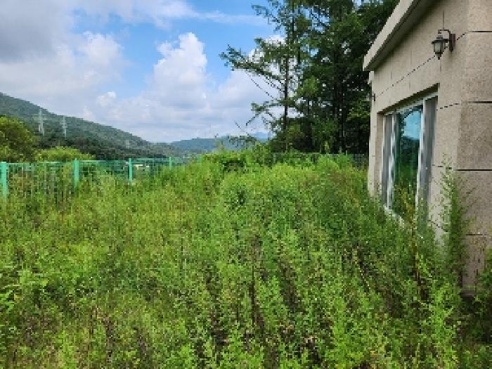 2025타경73001 사진