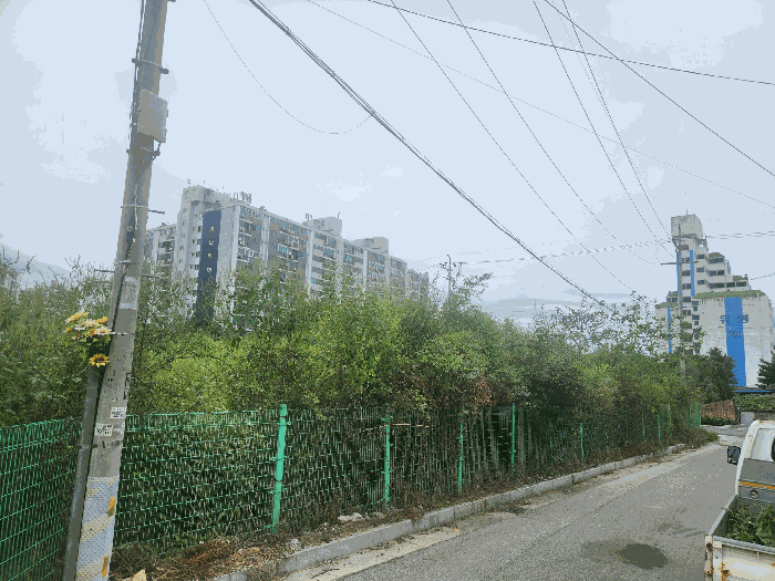 2025타경73097 사진