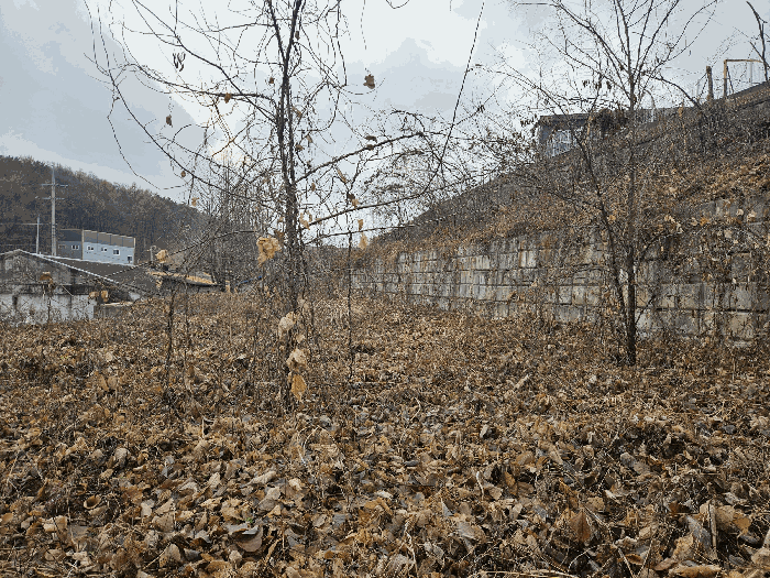 2025타경73646 사진