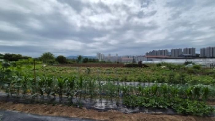 2025타경73817 사진