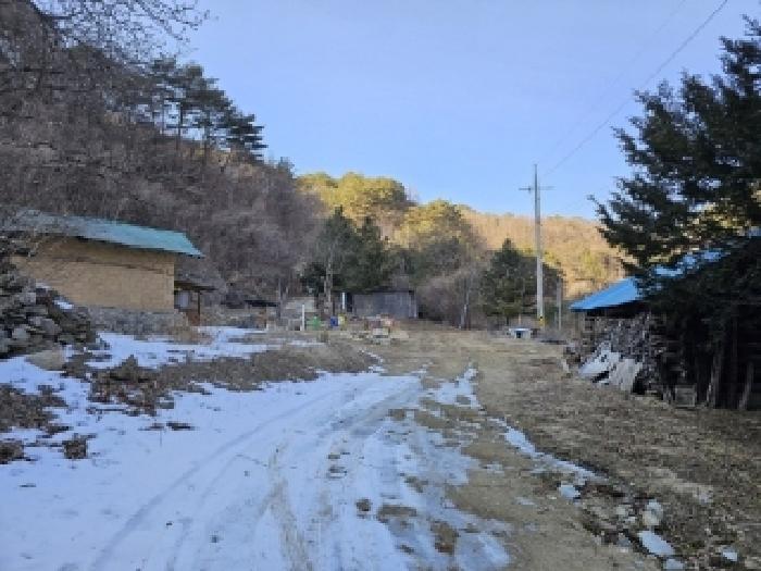 2025타경100241 사진