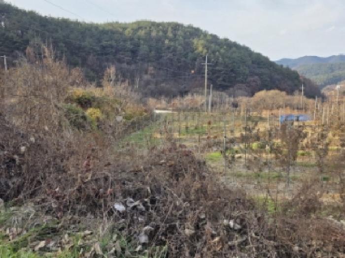 2025타경100565 사진