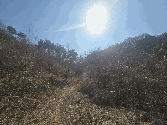 2025타경100620 사진