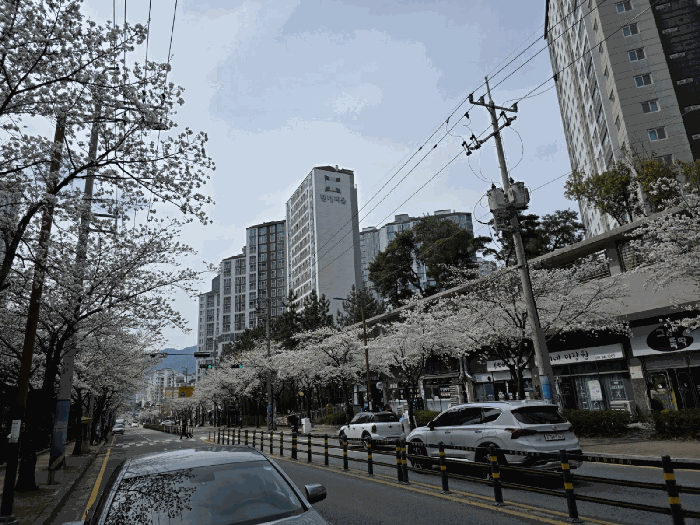 2025타경101187 사진