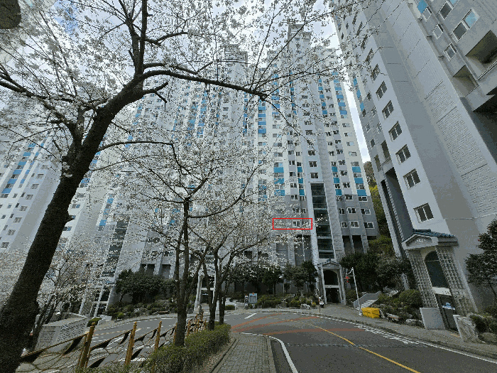 2025타경101227 사진