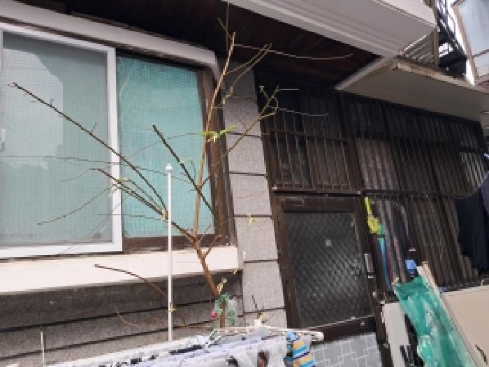 2025타경104377 사진