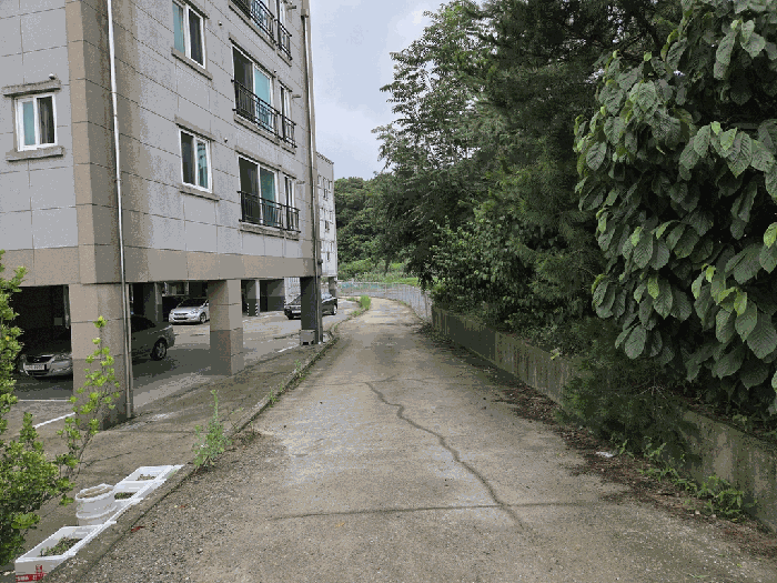 2025타경502816 사진