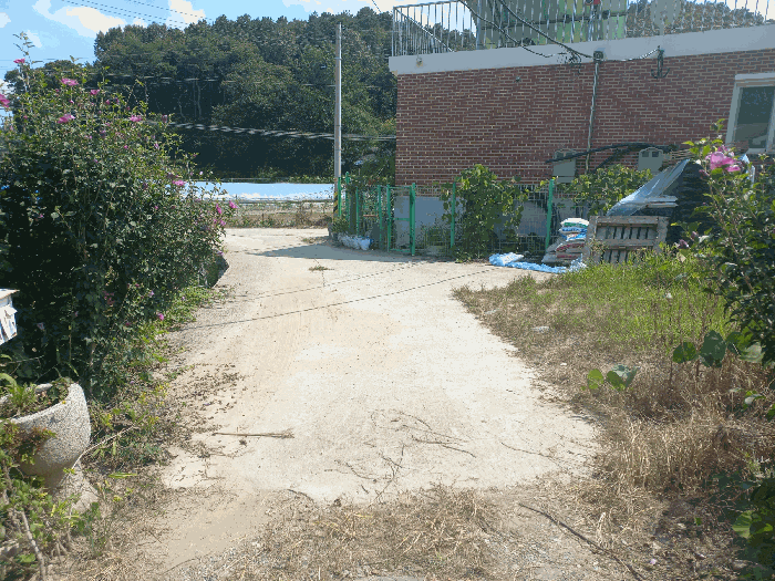 2025타경503126 사진