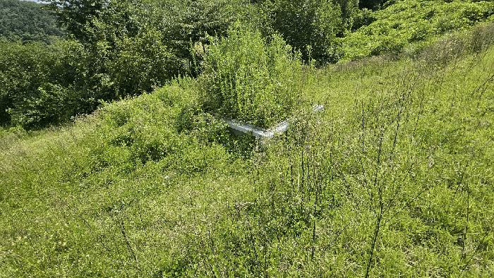 2025타경503154 사진