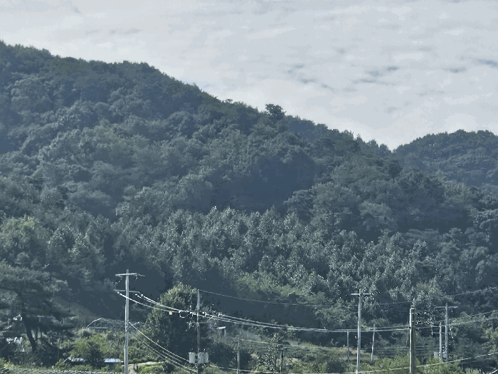 2025타경503458 사진