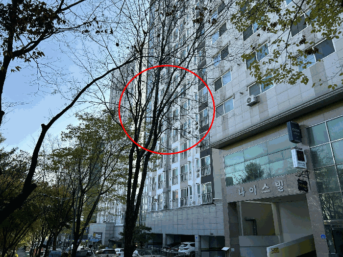 2025타경503749 사진