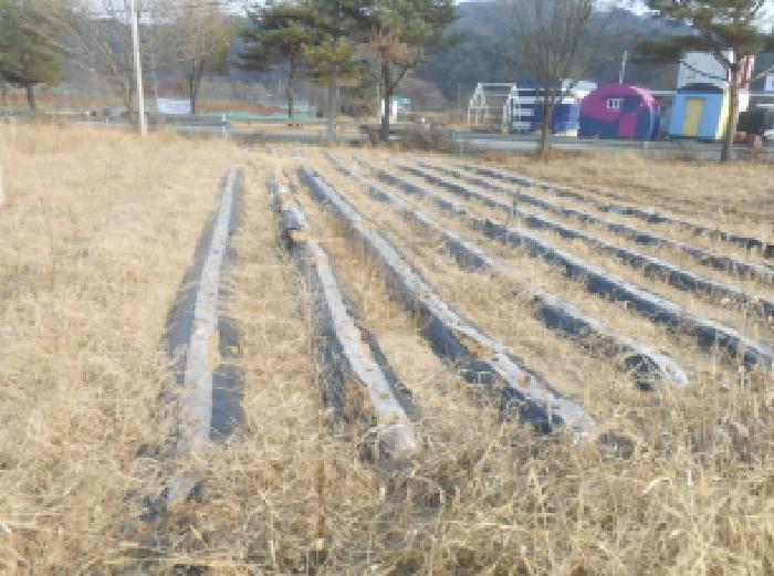 2025타경503809 사진