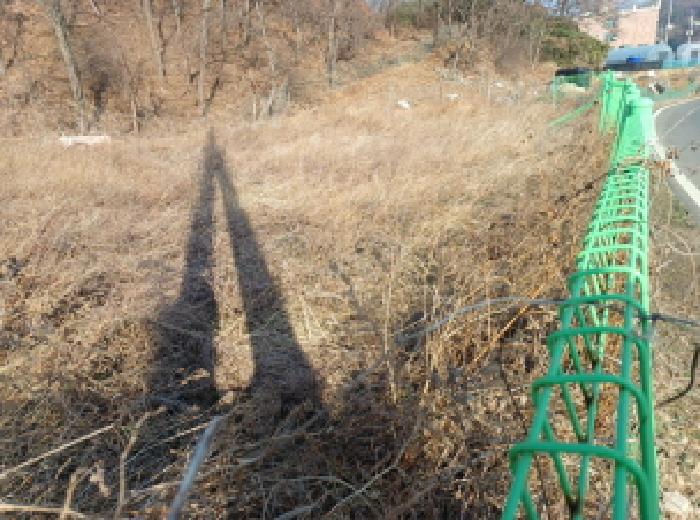 2025타경507409 사진