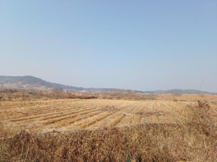 2025타경508183 사진