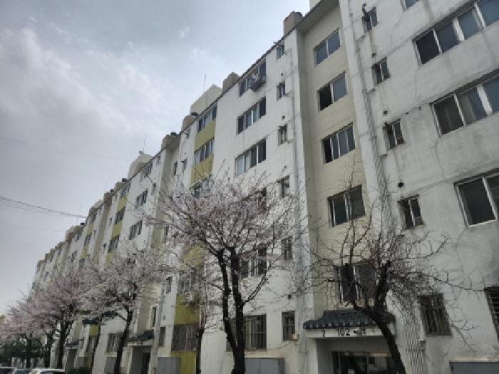 2025타경508266 사진