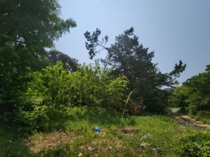 2025타경509274 사진