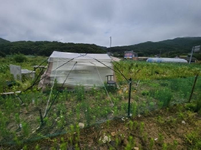 2025타경509776 사진