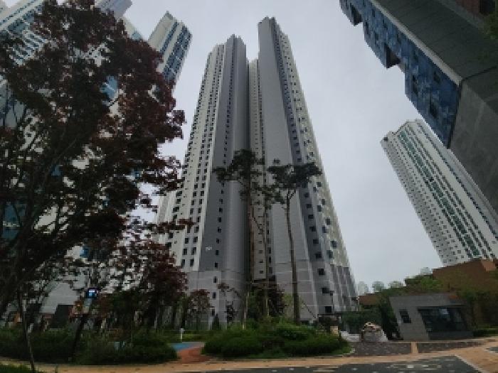2025타경509889 사진