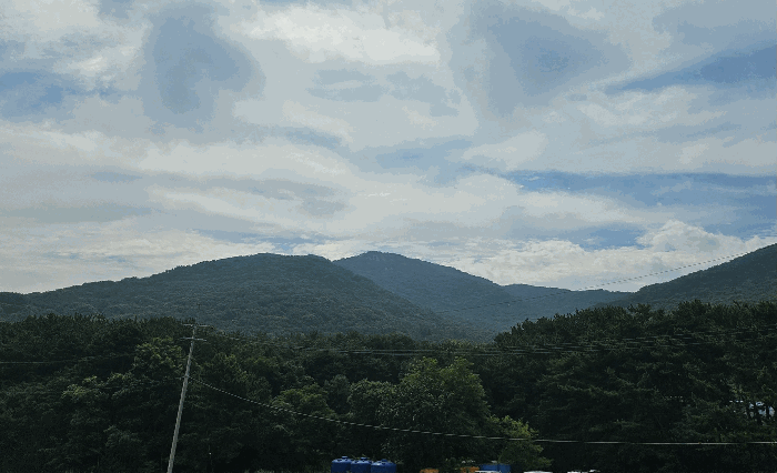 2025타경511019 사진