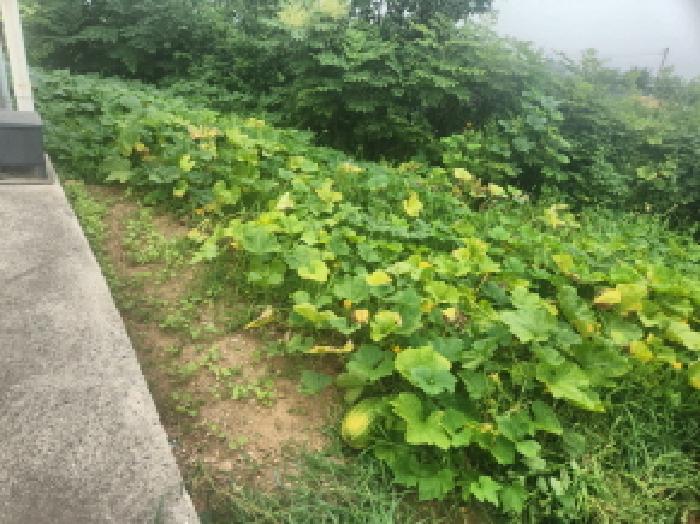 2025타경511222 사진