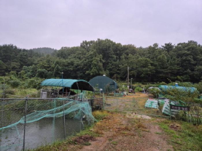 2025타경512104 사진