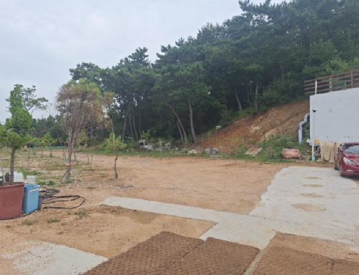 2025타경512354 사진