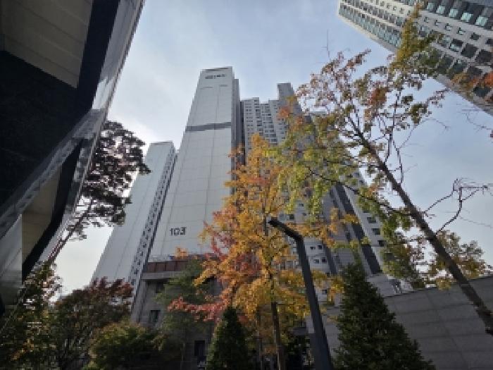 2025타경513294 사진