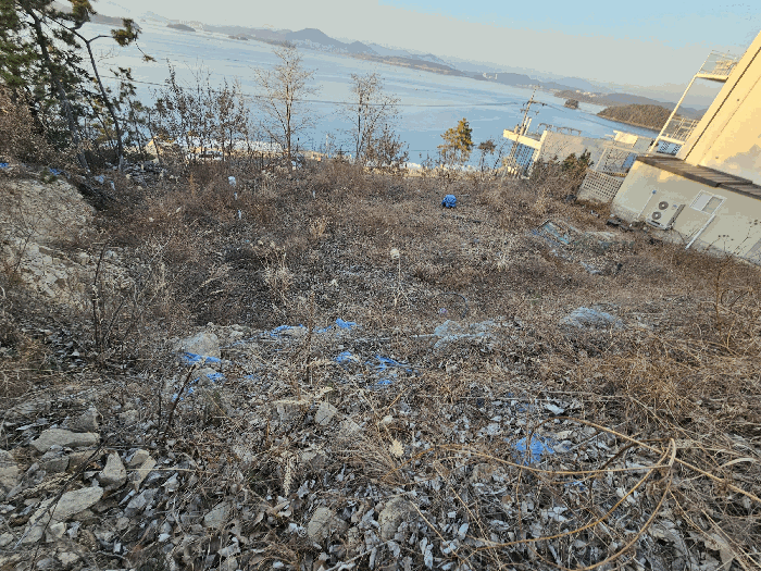 2026타경7 사진