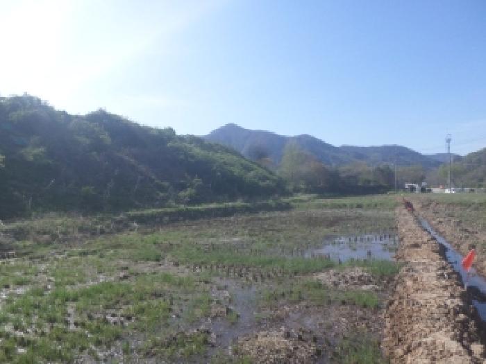 2026타경99 사진