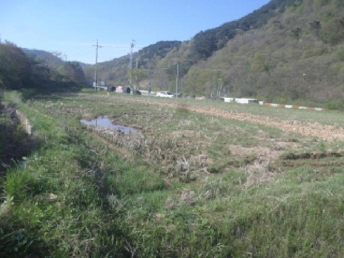 2026타경99 사진