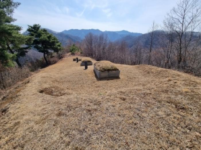 2026타경120 사진