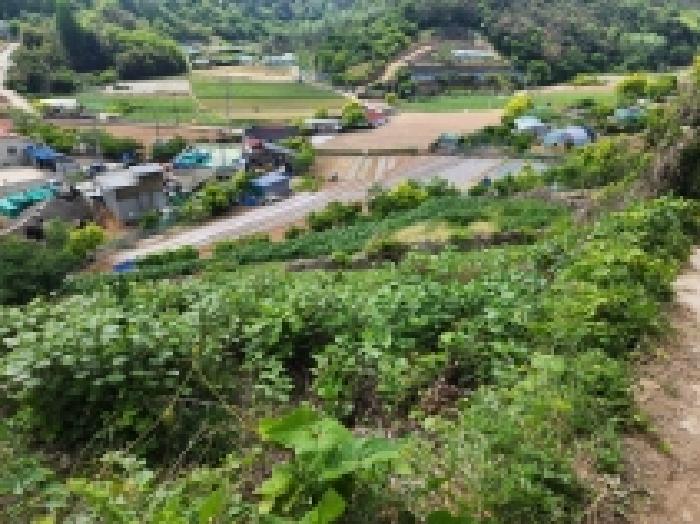 2026타경134 사진