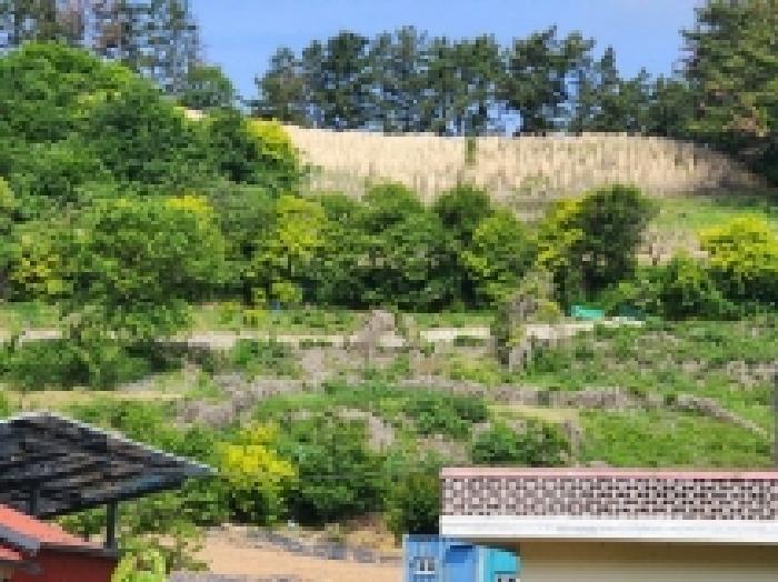 2026타경134 사진