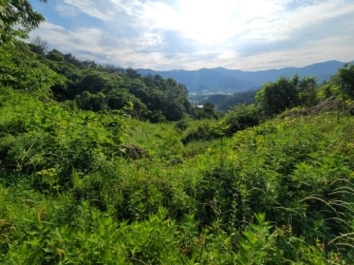 2026타경136 사진