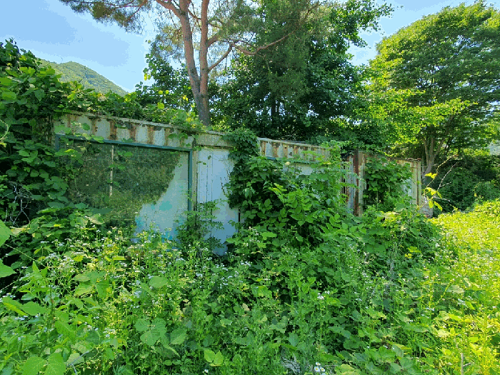 2026타경138 사진