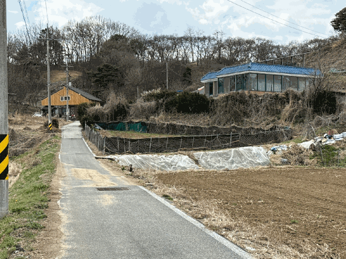 2026타경186 사진