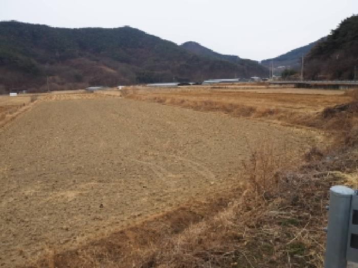2026타경209 사진