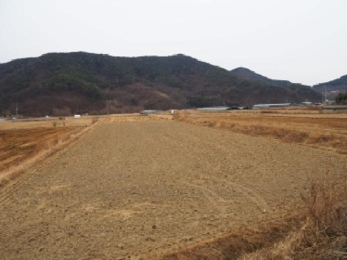 2026타경209 사진
