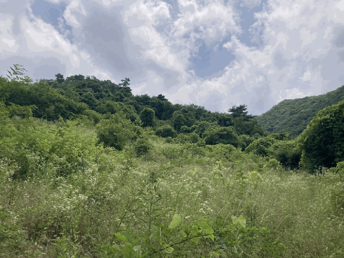 2026타경224 사진