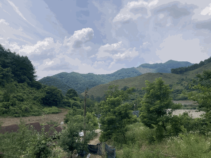 2026타경224 사진