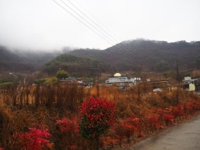 2026타경353 사진