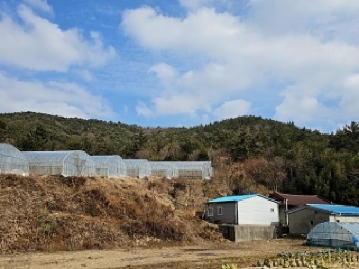 2026타경1006 사진